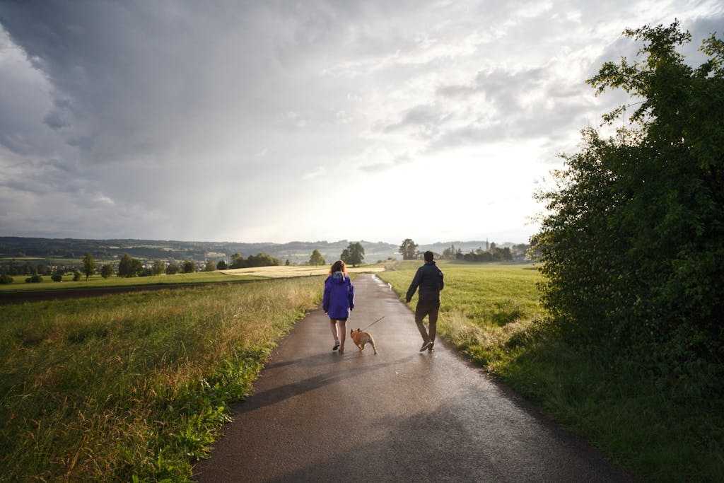 A couple walks their dog on a scenic path through lush fields after a storm.